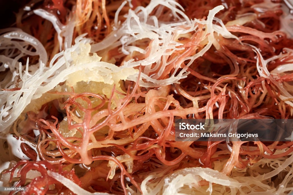 sea moss